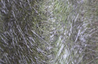 West Langdon fibreglass roof work